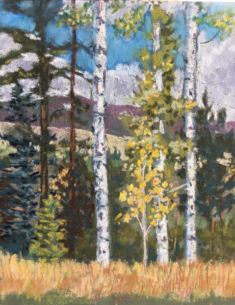 Click here to view Stately Aspens & Friends by Gretchen Olberding